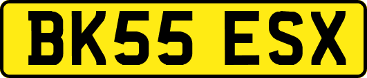 BK55ESX