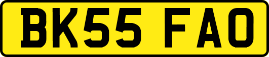 BK55FAO