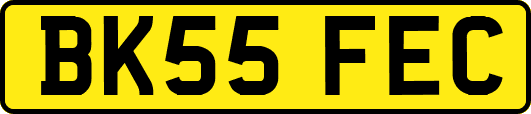 BK55FEC