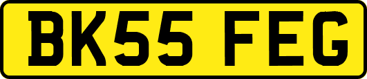 BK55FEG
