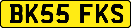 BK55FKS