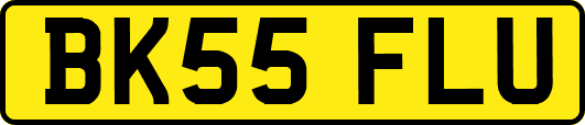 BK55FLU