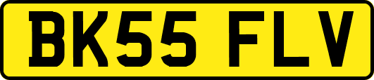 BK55FLV