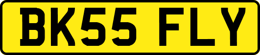 BK55FLY