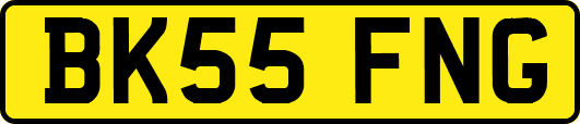BK55FNG