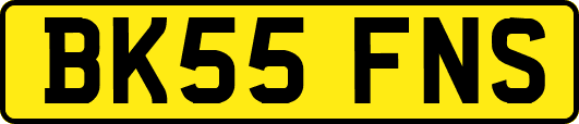 BK55FNS