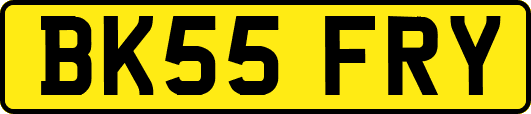 BK55FRY
