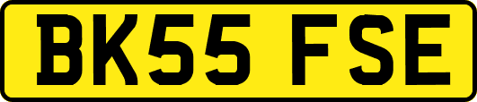 BK55FSE