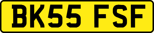 BK55FSF