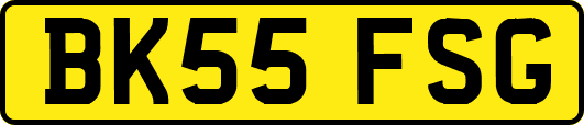 BK55FSG