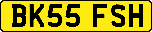 BK55FSH