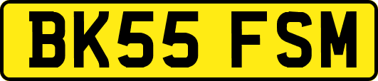 BK55FSM