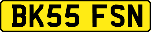 BK55FSN