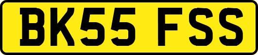 BK55FSS