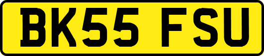BK55FSU