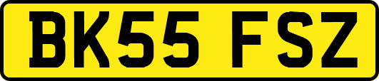 BK55FSZ