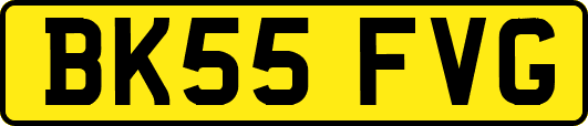 BK55FVG