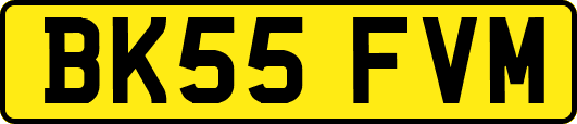 BK55FVM