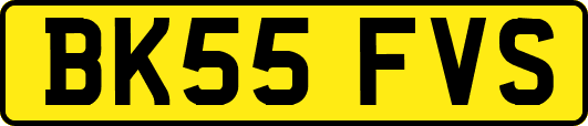 BK55FVS