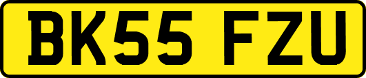 BK55FZU