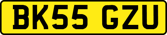 BK55GZU