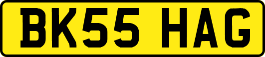 BK55HAG