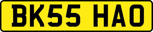 BK55HAO