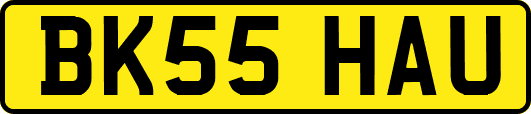 BK55HAU