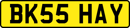 BK55HAY