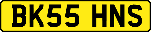 BK55HNS