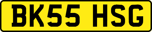 BK55HSG