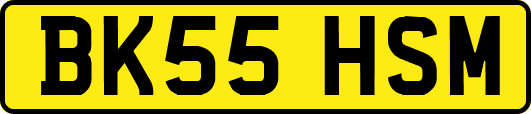 BK55HSM