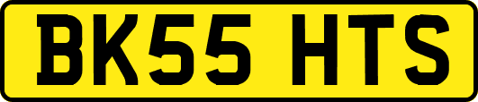 BK55HTS