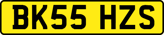 BK55HZS