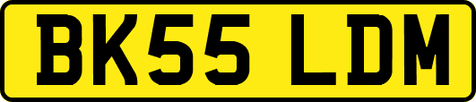 BK55LDM