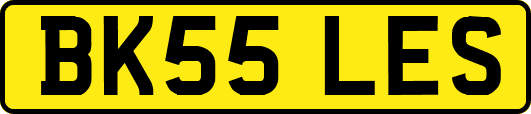 BK55LES
