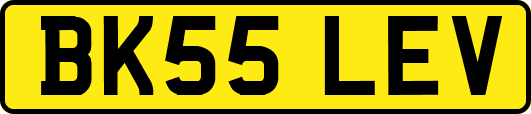BK55LEV
