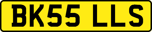 BK55LLS