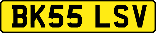 BK55LSV