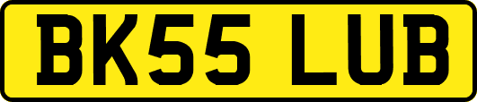 BK55LUB