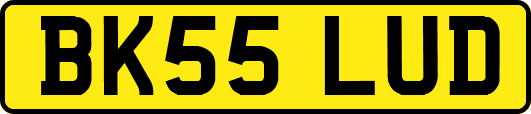 BK55LUD