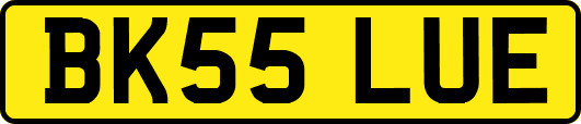 BK55LUE