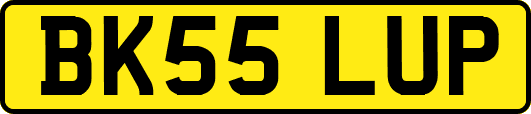 BK55LUP