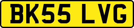 BK55LVG