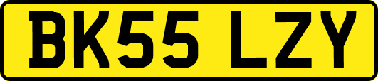 BK55LZY
