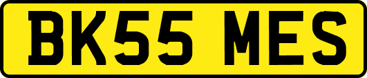 BK55MES