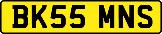 BK55MNS