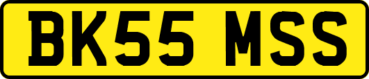 BK55MSS