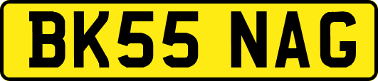 BK55NAG