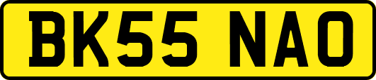 BK55NAO